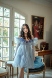 Blue Tulle Dress - Lulu