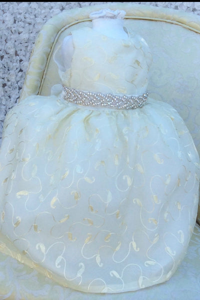 Silk Baby Dress - Alice