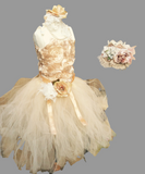 Corset Top & Tulles Skirt - Twinkle