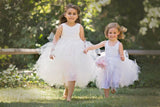 Blush Couture Tutu Dress-Bridal-Flowergirl-Photoprop-Isabella - ElenaCollection
- 6