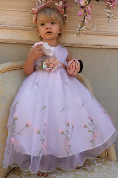 Baby Girl Organza Dress - Liza