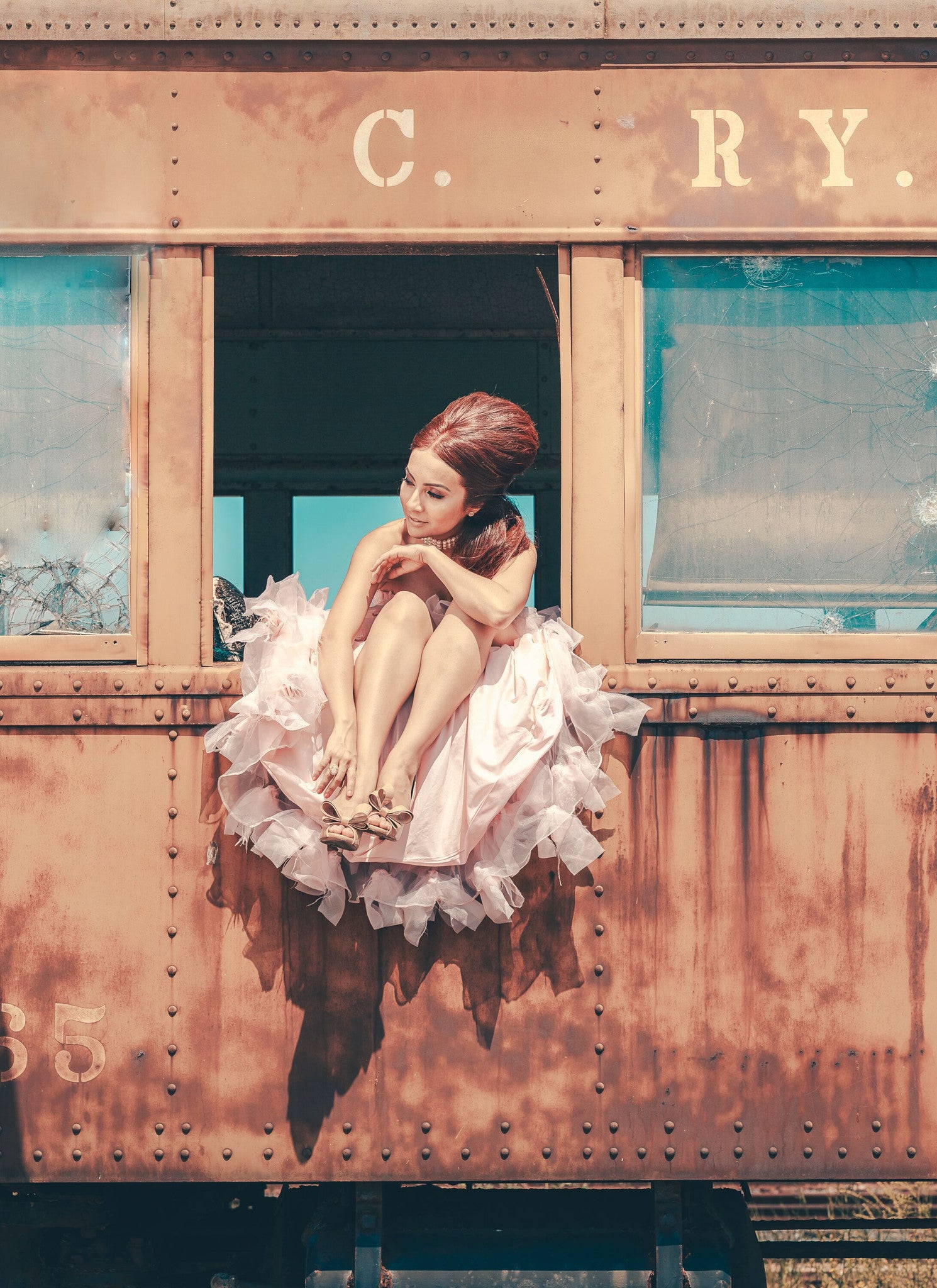 Wedding Feather Gown-rental -Quinceanera-Prom-Moët - ElenaCollection
- 17