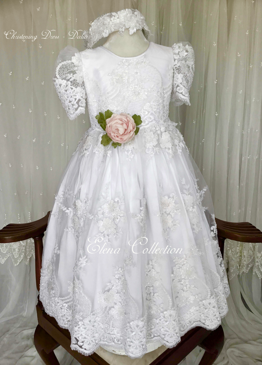 Dalia 2324