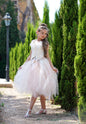 Romantic Tulle Skirt Set Lace Corset - Cecilia