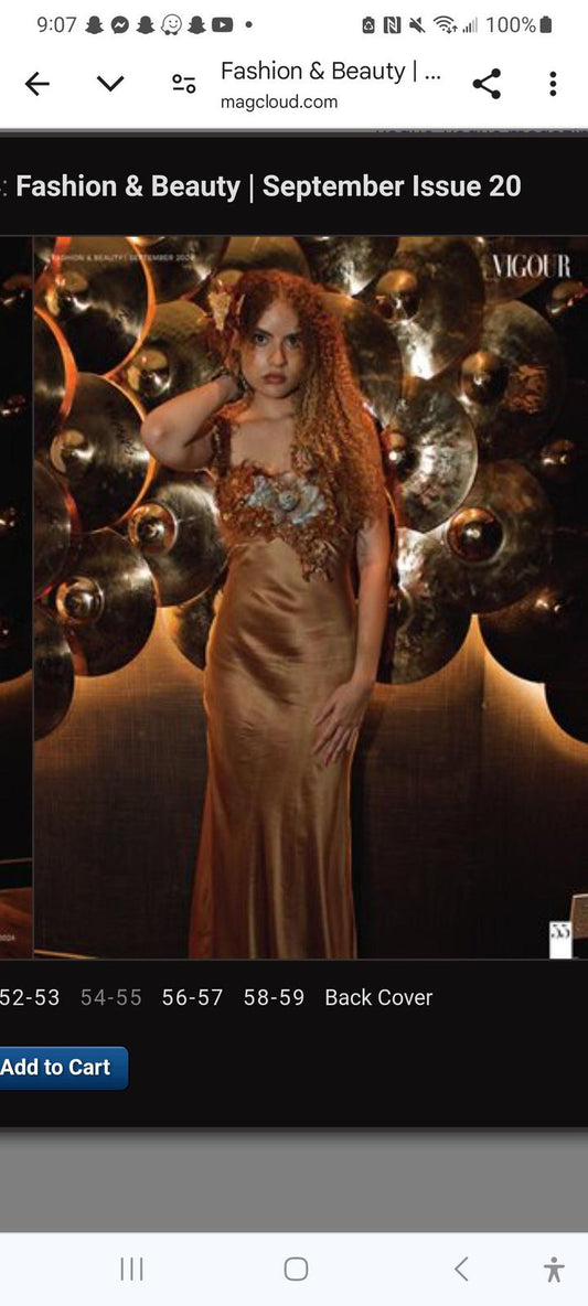 Silk Dress for Hire - Runway