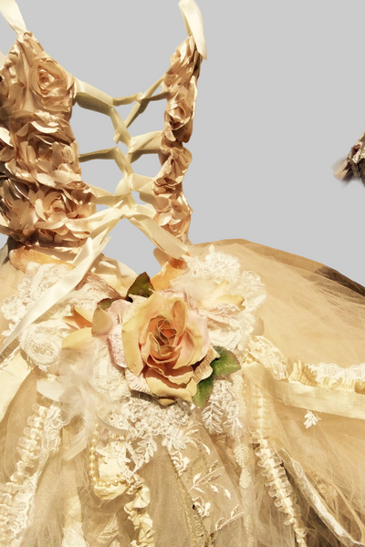 Corset Top & Tulles Skirt - Twinkle
