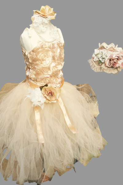Corset Top & Tulles Skirt - Twinkle