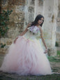 Rental Tulle Skirt & Corset  - Morganne