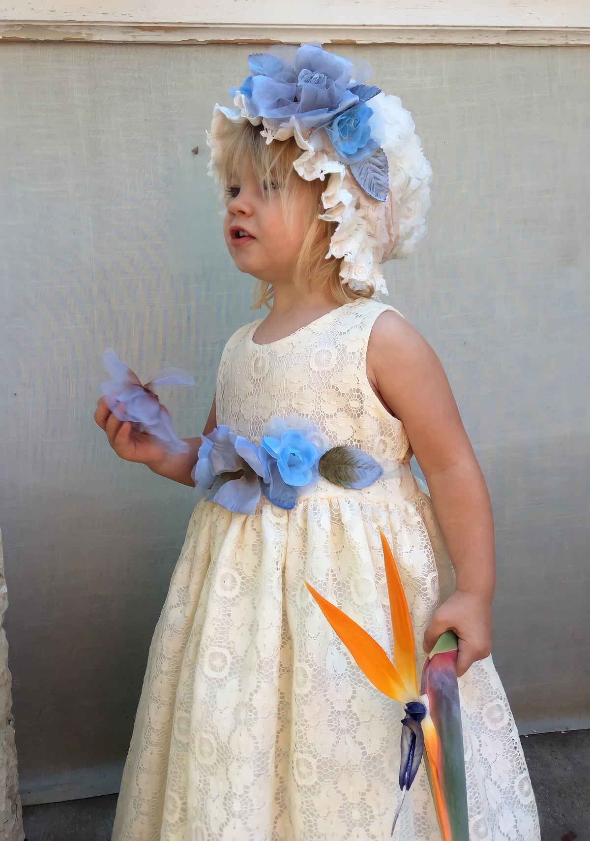 Cotton Ivory Baby Dress -Roxy