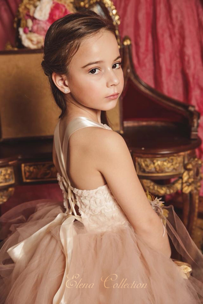 Blush Tutu Dress - Flower Girl - Liz