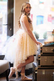 Bridal Alternative High Low Set  - Kelly