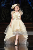 Flower girl tutu dress- Natasza