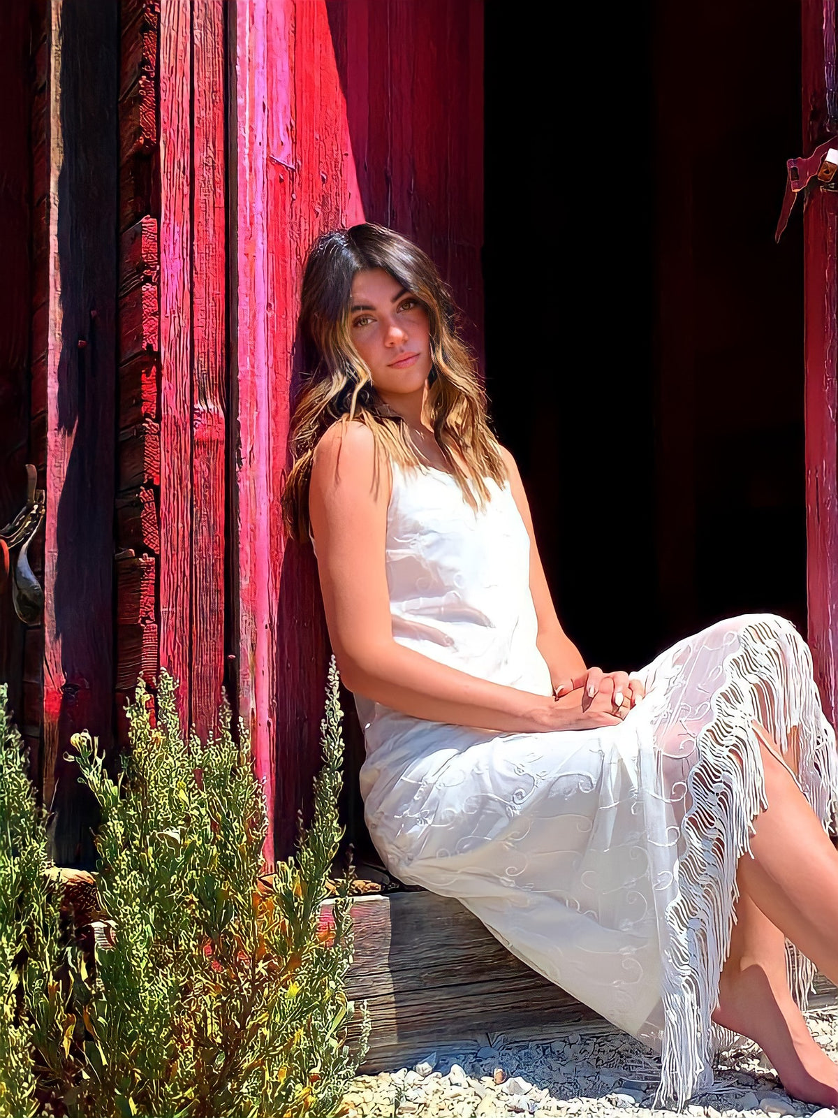 Bohemian Lace Dress - Brinsley