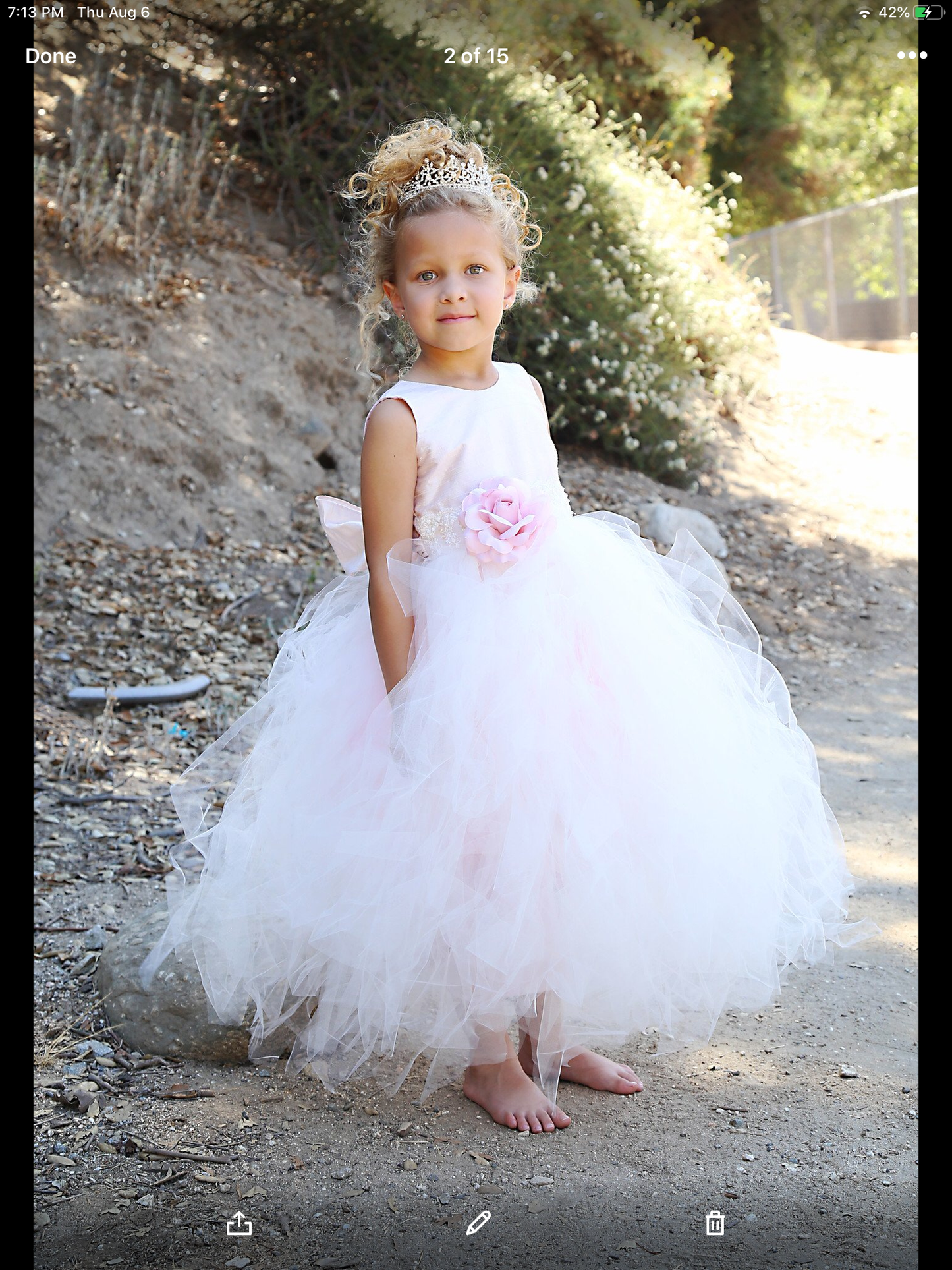 Flower Girl Tutu Dress - Rachelle