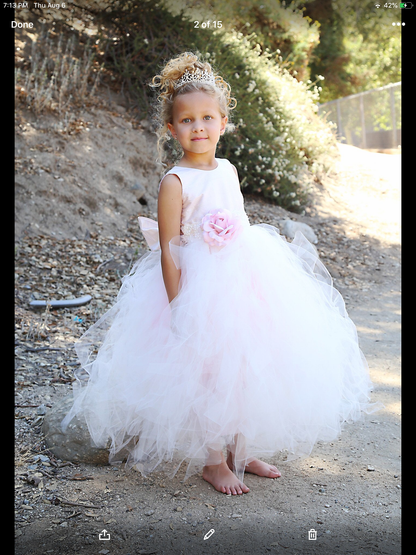 Flower Girl Tutu Dress - Rachelle
